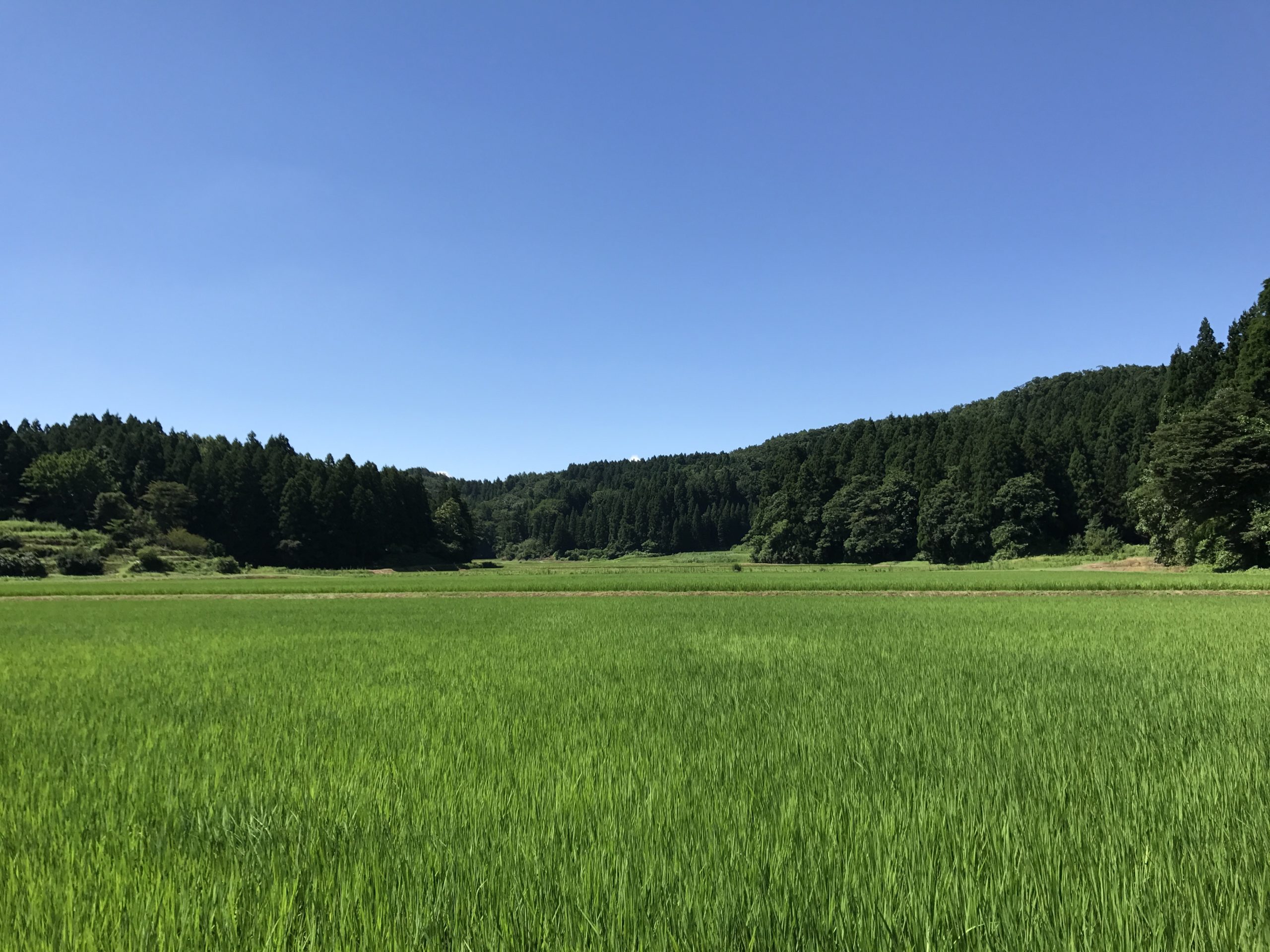 密から疎へ　今だからこそ地方への移転を考えてみる